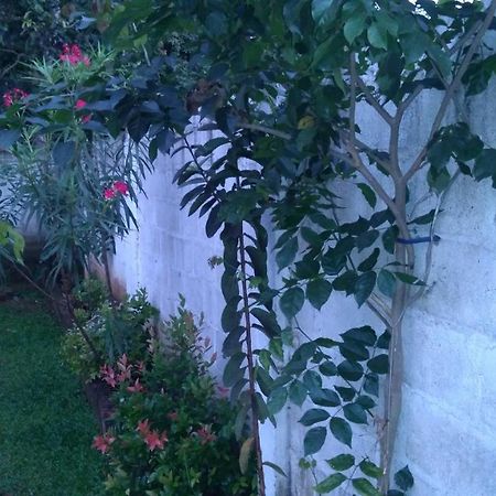 Umaya Holiday Home Anuradhapura Exterior foto